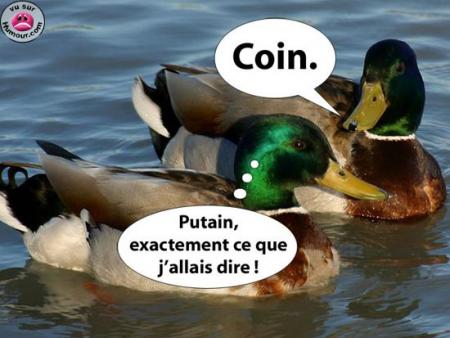 amitié